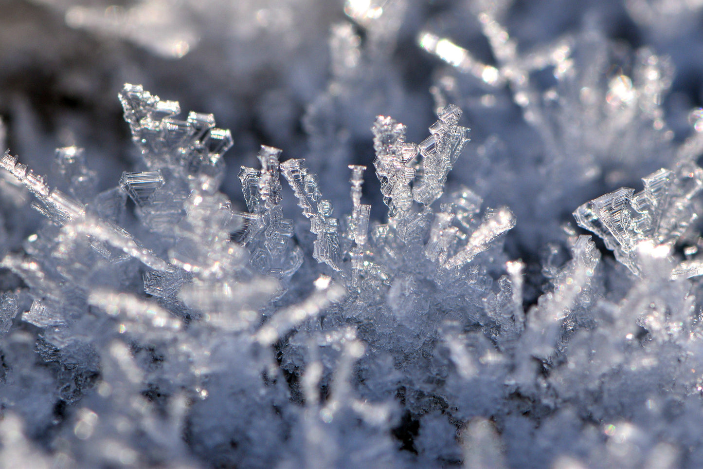 Cryo Firming Ampoules (Frozen)