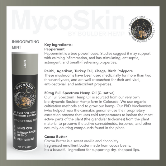 Invigorating Peppermint 50mg CBD + Mushroom Lip Balm